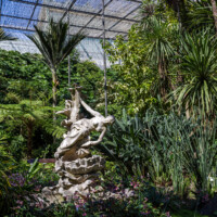 Inside the Estufa Fria gardens