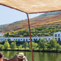 Fall colors on the hills beside Rio Douro.