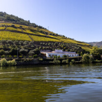 River cruise from Pinhão