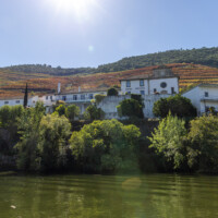 River cruise from Pinhão