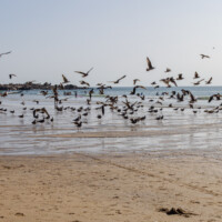 Beach area near Porto