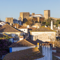 View of the castle from the wall on the other end of the village.