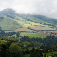 Birding with Gerby in the northeastern highlands of São Miguel, Açores