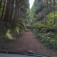 Mountain road in the Nordeste area of São Miguel